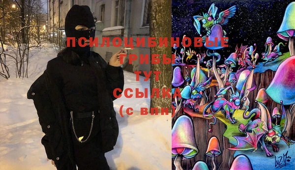 меф Ладушкин